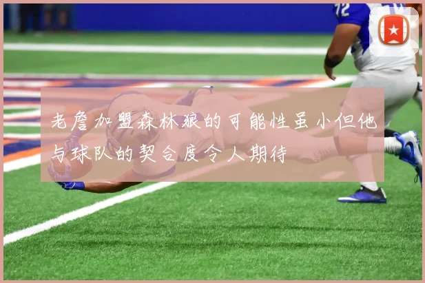 老詹加盟森林狼的可能性虽小但他与球队的契合度令人期待