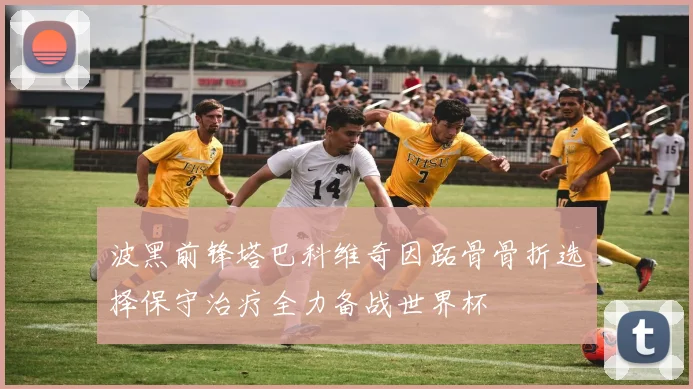 波黑前锋塔巴科维奇因跖骨骨折选择保守治疗全力备战世界杯