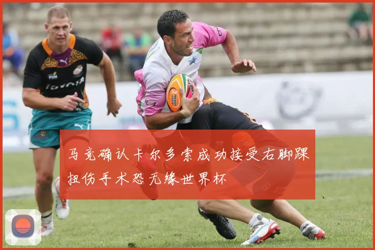 马竞确认卡尔多索成功接受右脚踝扭伤手术恐无缘世界杯